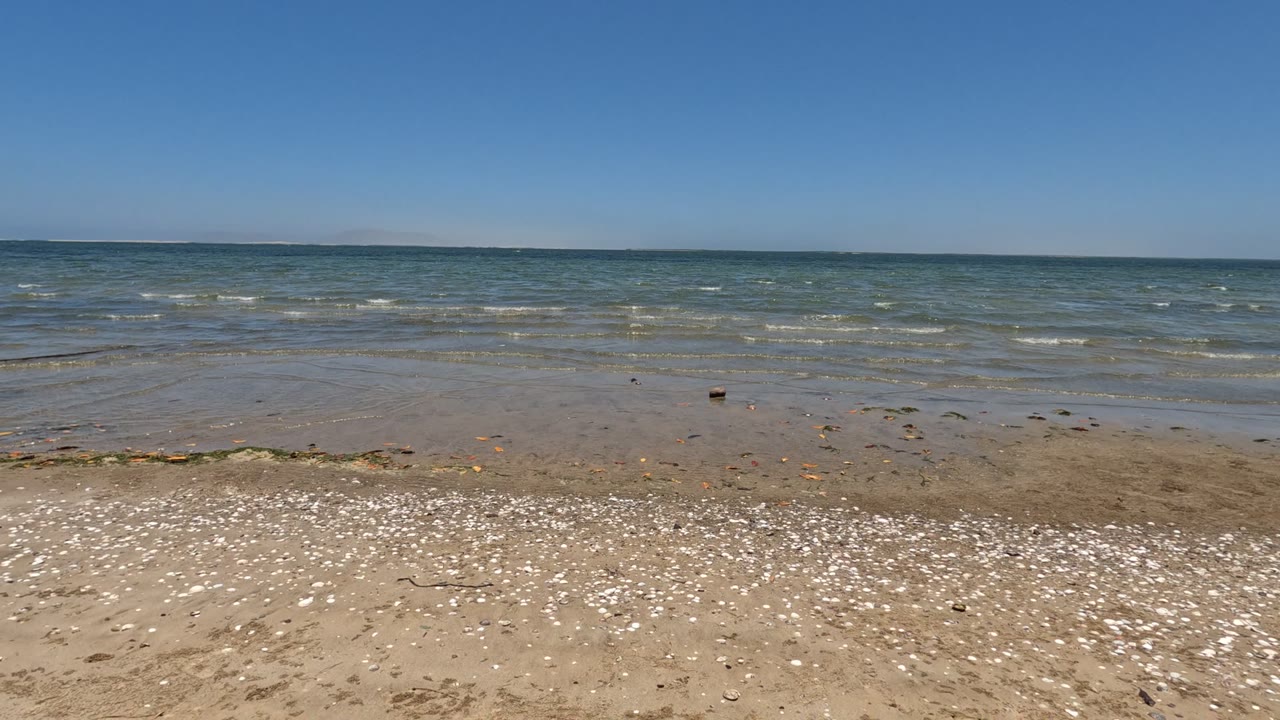 Baja California, Mexico shoreline with shell-strewn sand in the foreground, shallow waves in the distance, a clear blue sky, and no visible people at the opening moment.