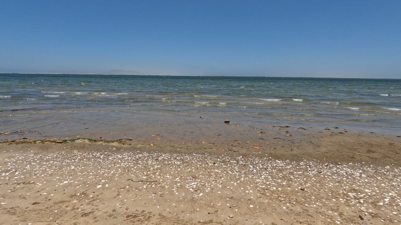 Wide beach view with shells, shallow waves, and clear sky.