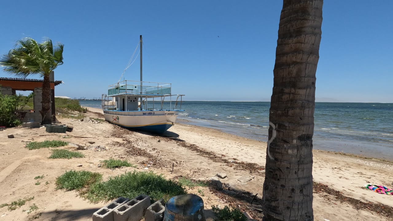 Baja California, Mexico beach frame with a small boat pulled onto sand, a palm trunk at the right edge, sparse grass, cinder blocks, calm ocean, clear blue sky, and no visible people.
