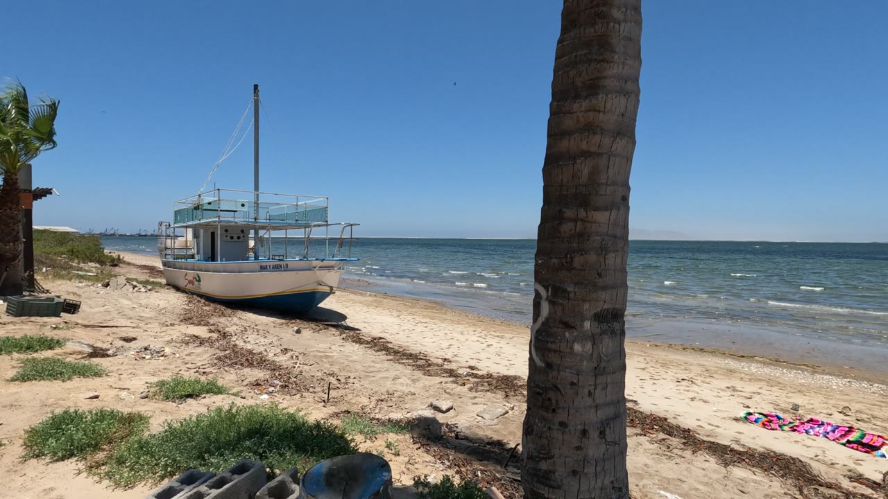 Boat on beach with palm trunk, ocean, towel, and sparse grass.