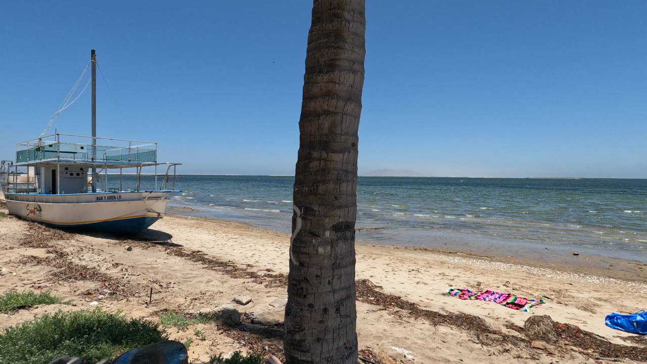 Baja California, Mexico beach view with the boat near the left side, a palm trunk dominating the right foreground, a colorful towel on the sand, small waves, and no visible people.