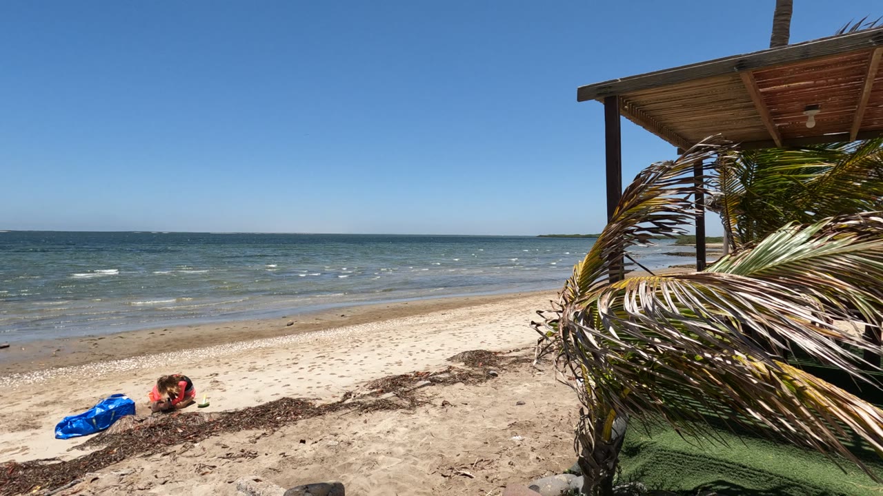 Baja California, Mexico beach scene with the person and blue towel near center-left, seaweed across the sand, ocean horizon, and the wooden gazebo roof starting to fill the upper right.
