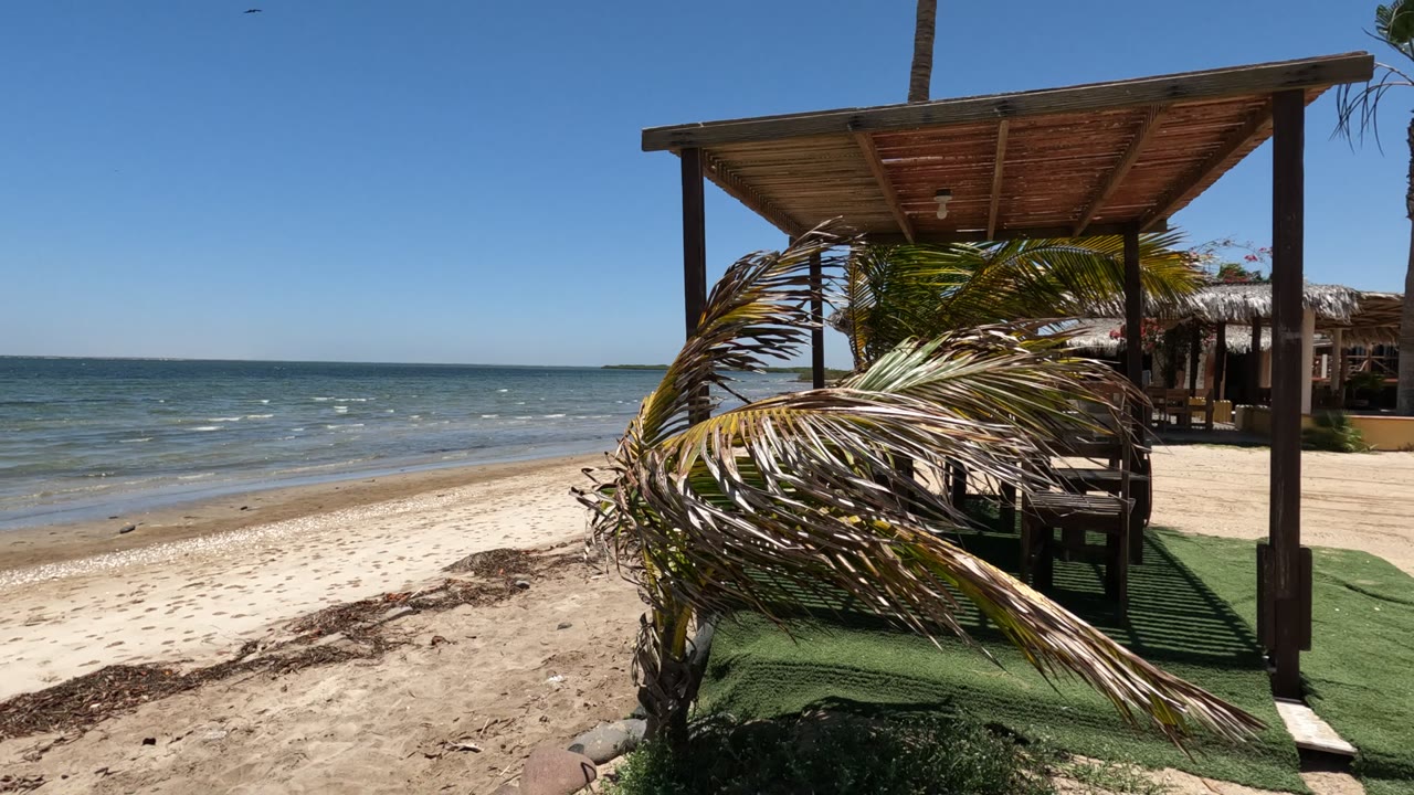 In Baja California, Mexico, palm fronds and a thatched beach structure frame a sandy shoreline where a child is partly visible near items on the sand.