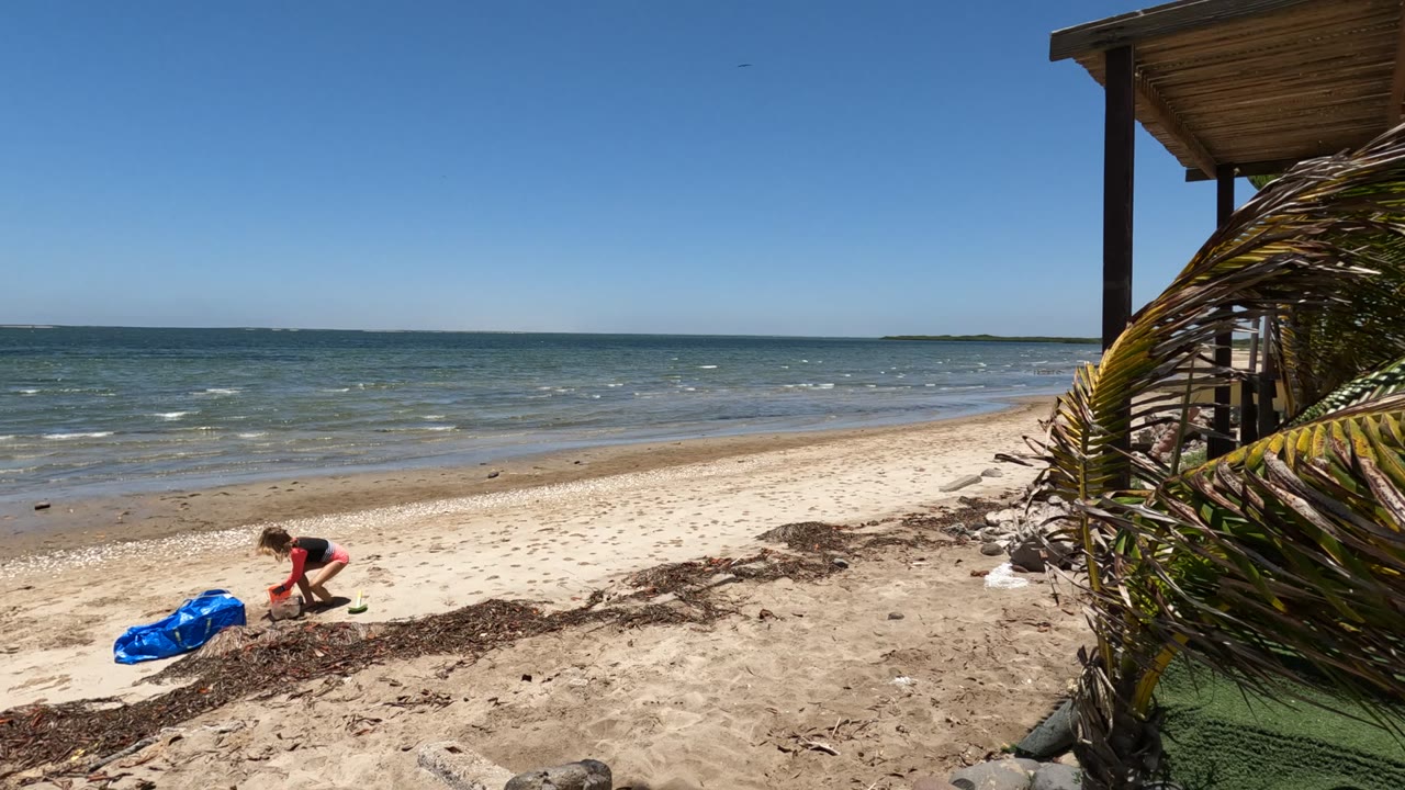 In Baja California, Mexico, the child kneels near the blue bag on pale sand, with palm fronds at the frame edge and low waves across the background.
