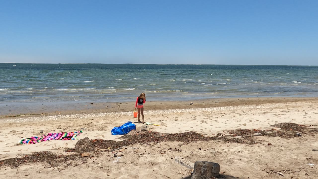 At 0:00 in Puerto San Carlos, Mexico, a child stands near an orange bucket on pale sand, with a colorful towel, blue bag, seaweed line, waves, and blue sky visible.