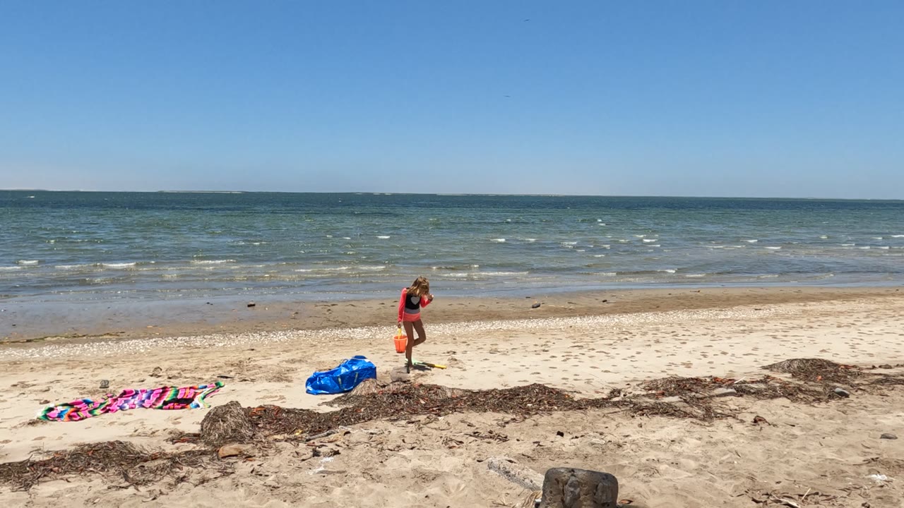 Child holding bucket on beach near blue bag and ocean