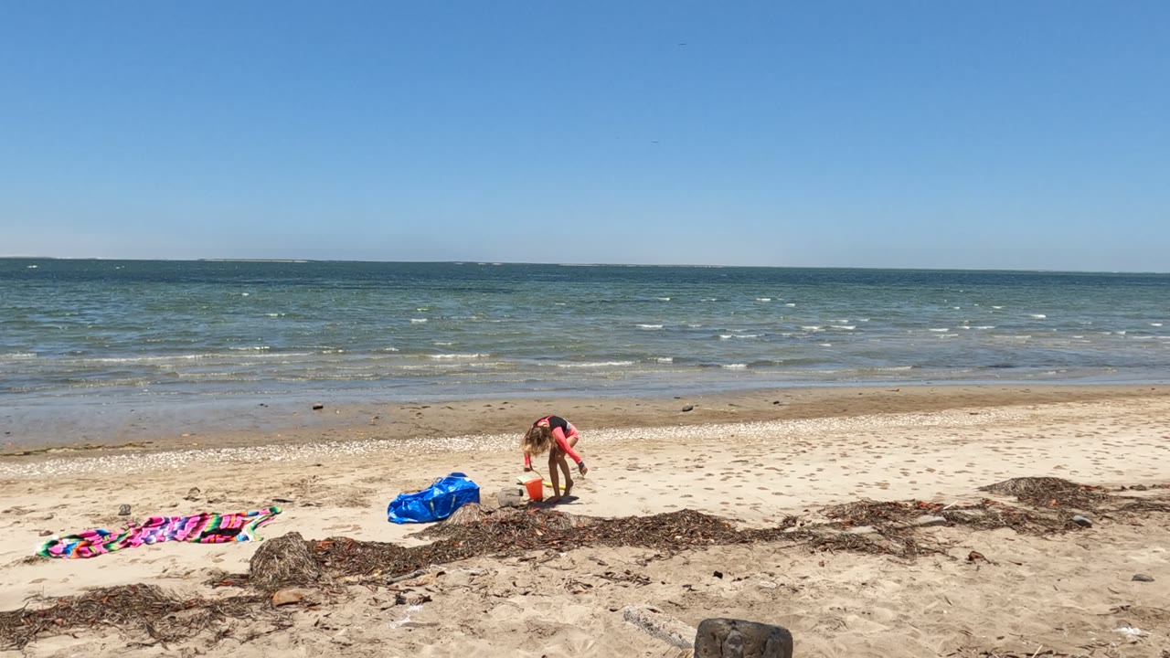 At 0:02 in Puerto San Carlos, Mexico, the child bends toward the orange bucket beside the seaweed line while the towel, blue bag, pale sand, shallow surf, and open sky remain visible.