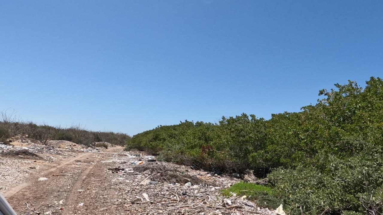 Baja California, Mexico dirt road with litter and debris along both sides, green bushes to the right, dry scrub to the left, and no visible people.