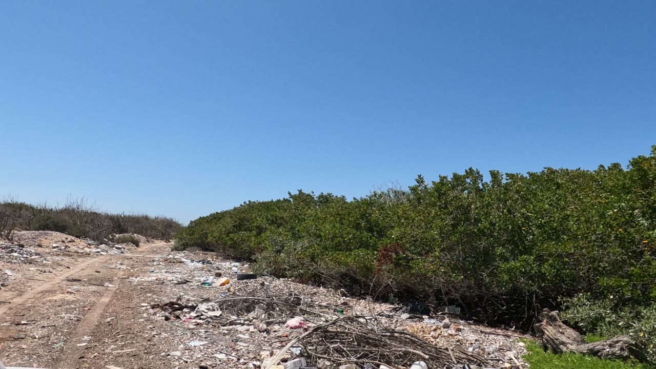 Littered dirt track curving between brush and green vegetation.