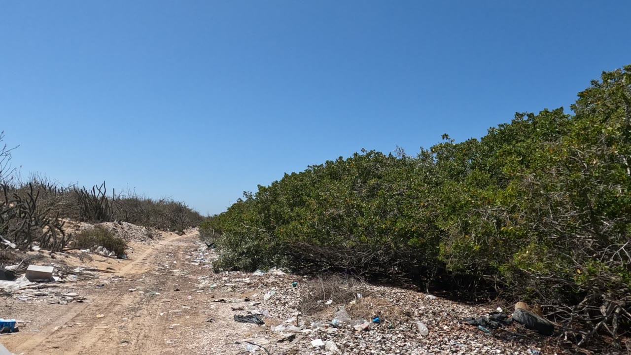 Dusty track running between bushes with roadside debris.