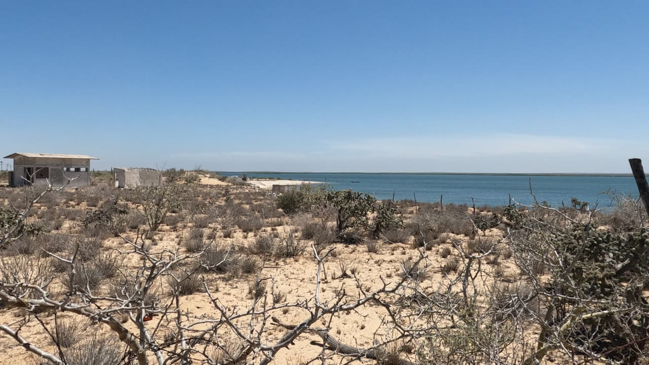 Baja California, Mexico coastal desert scrub stretches toward a blue ocean horizon, with a small structure at left and no visible people.
