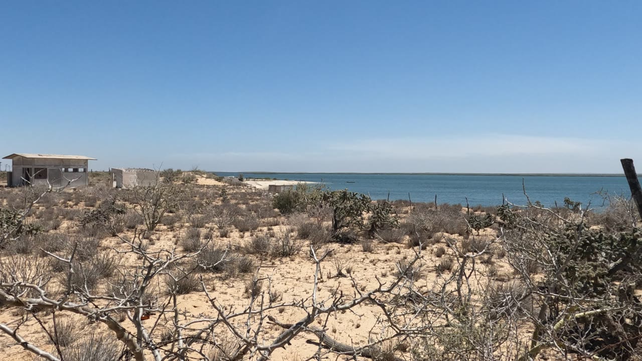 Dry brush and sandy coastal terrain overlooking blue water