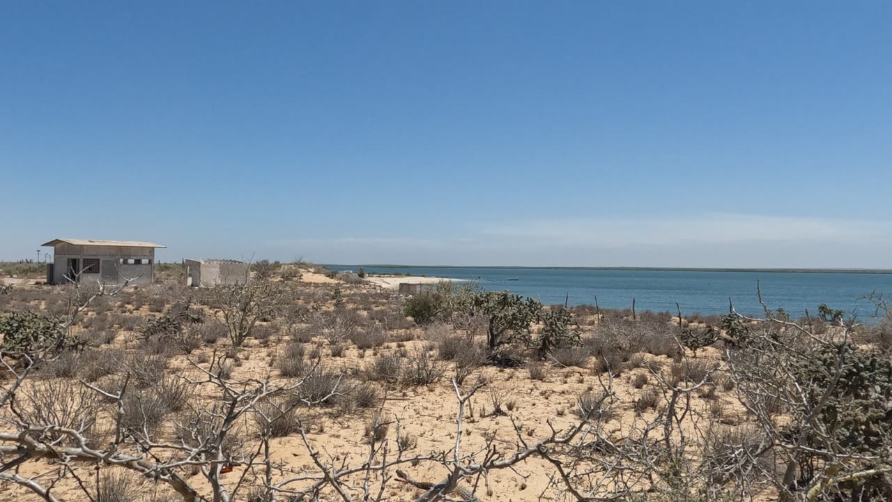 Baja California coastal desert scrub fills the foreground with a small structure at left, blue ocean on the horizon, clear sky above, and no visible people.