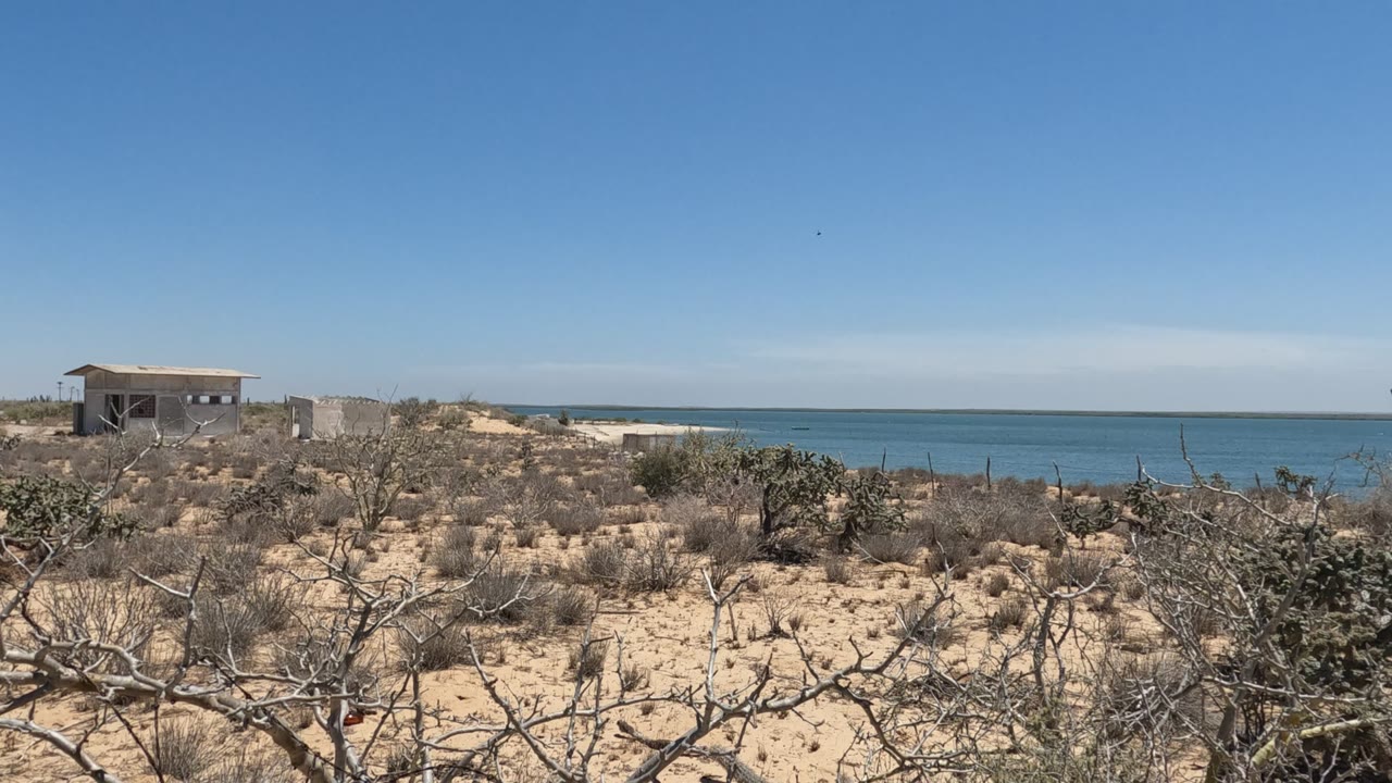 Dry brush and sandy coastal terrain with ocean behind a small building.