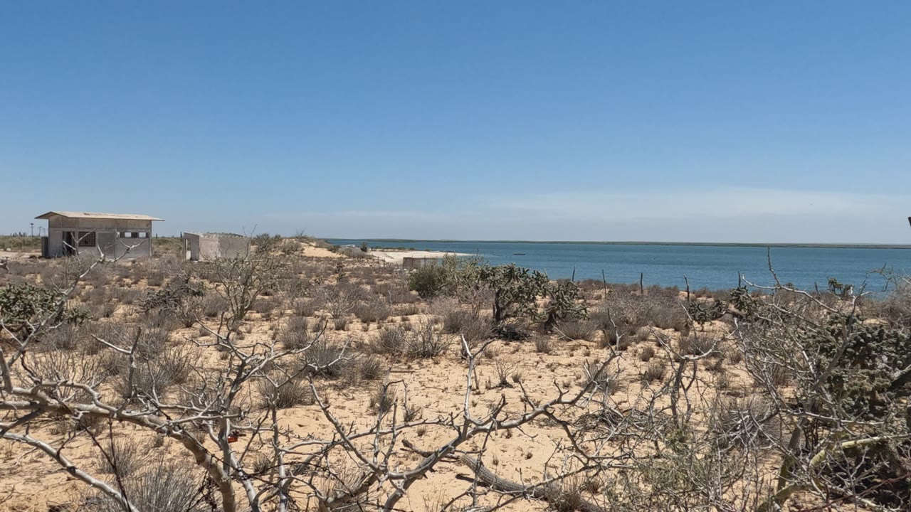 Baja California scrubland stretches across sandy ground with the small structure slightly left of center, blue ocean behind it, a clear sky, and no visible people.