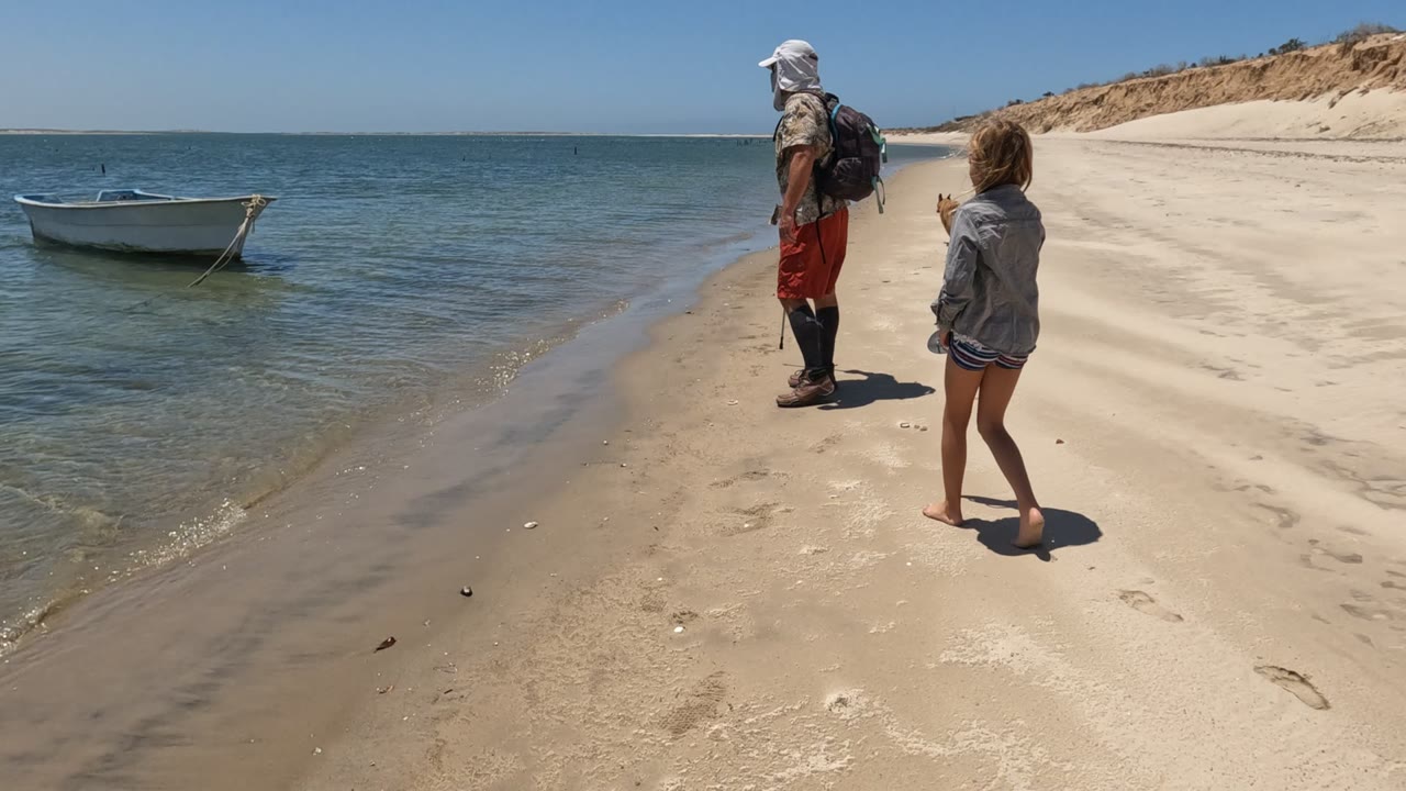 Beachgoer with backpack and walking stick standing near the water with a dog partly visible.