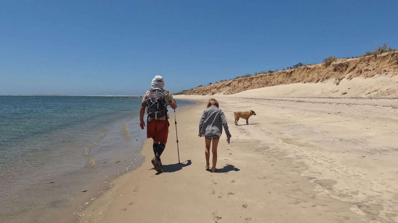 In Baja California, Mexico, an adult with a backpack and a child walk away along the sand while a brown dog moves ahead near the calm waterline.