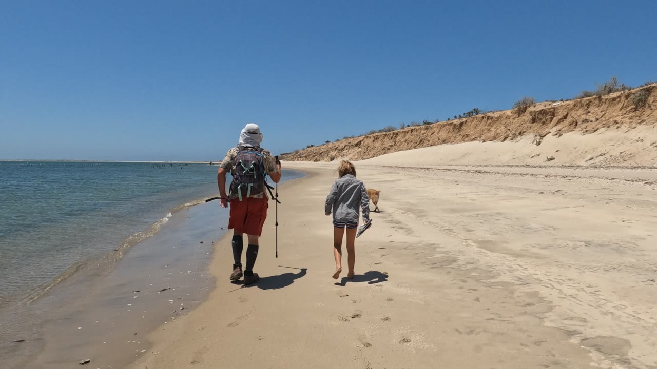 Adult and child continue walking along the shoreline as a dog runs on the sand.
