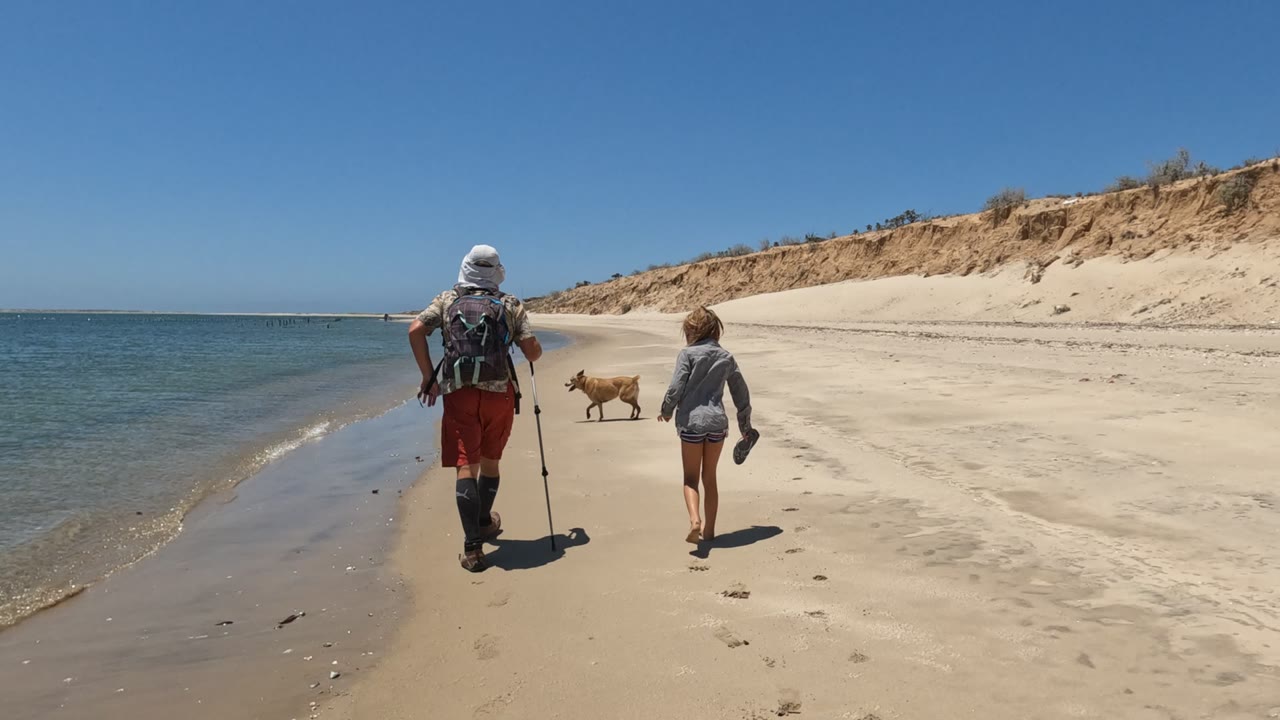 In Baja California, Mexico, the dog angles across the sand toward the right as the adult with walking poles and the child continue along the calm shoreline.