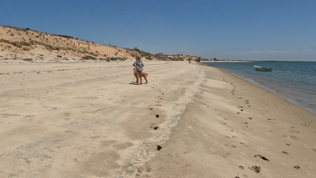 A person and dog walk away along a sandy Baja California beach, with footprints in the foreground, dunes to the left, and calm blue water to the right.