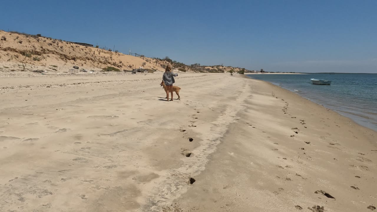 Person and dog farther along the open beach near the shoreline.