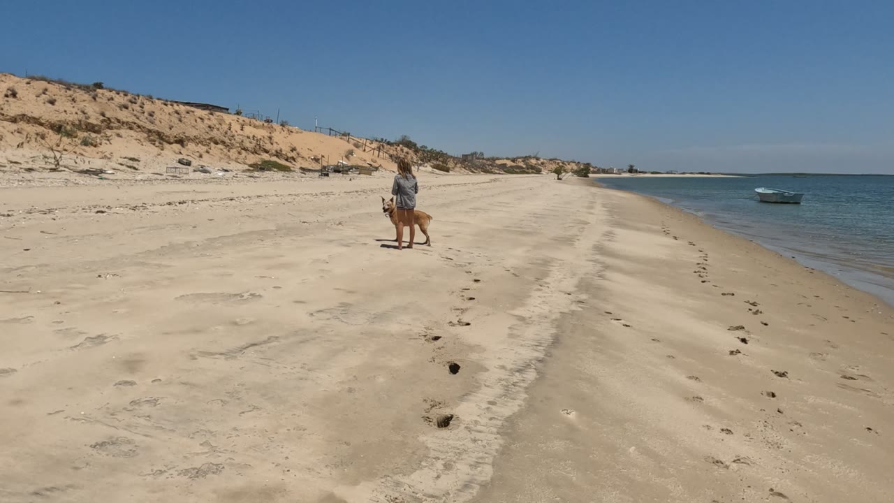 At 0:02, the person and dog remain in the midground on the Baja California beach, with the ocean edge on the right and low dunes running across the left background.