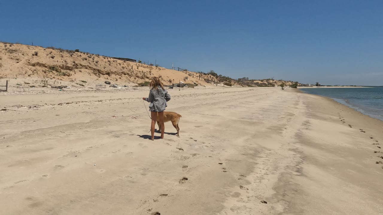 A girl in a light gray jacket stands with a tan dog on a leash on a Baja California beach, with dunes behind them and ocean along the right side.