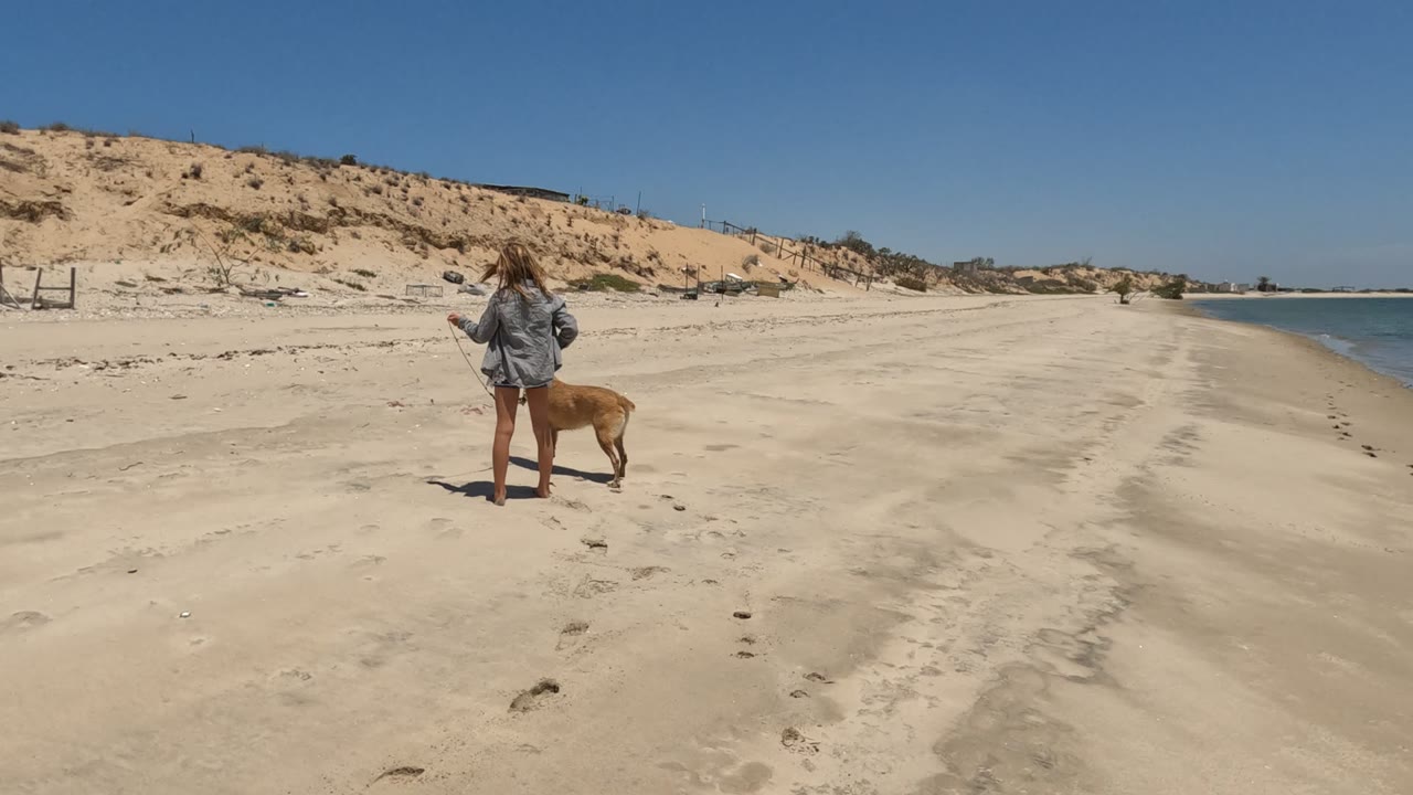Girl and leashed dog on wide sand with dunes behind and water to the right.