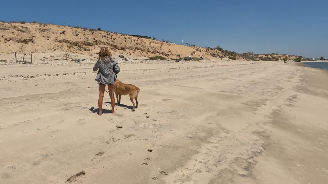 The girl stands turned toward the tan dog on the Baja California beach, with their shadows falling on the sand and low dunes stretching across the background.