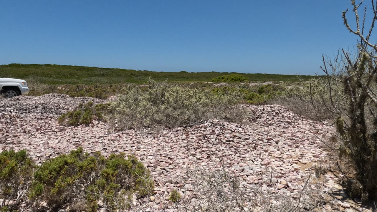 White pickup moving behind scrub and rocky ground in bright desert light.