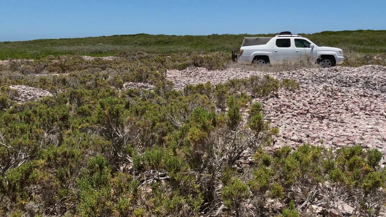 White pickup driving left to right through sparse rocky desert vegetation.