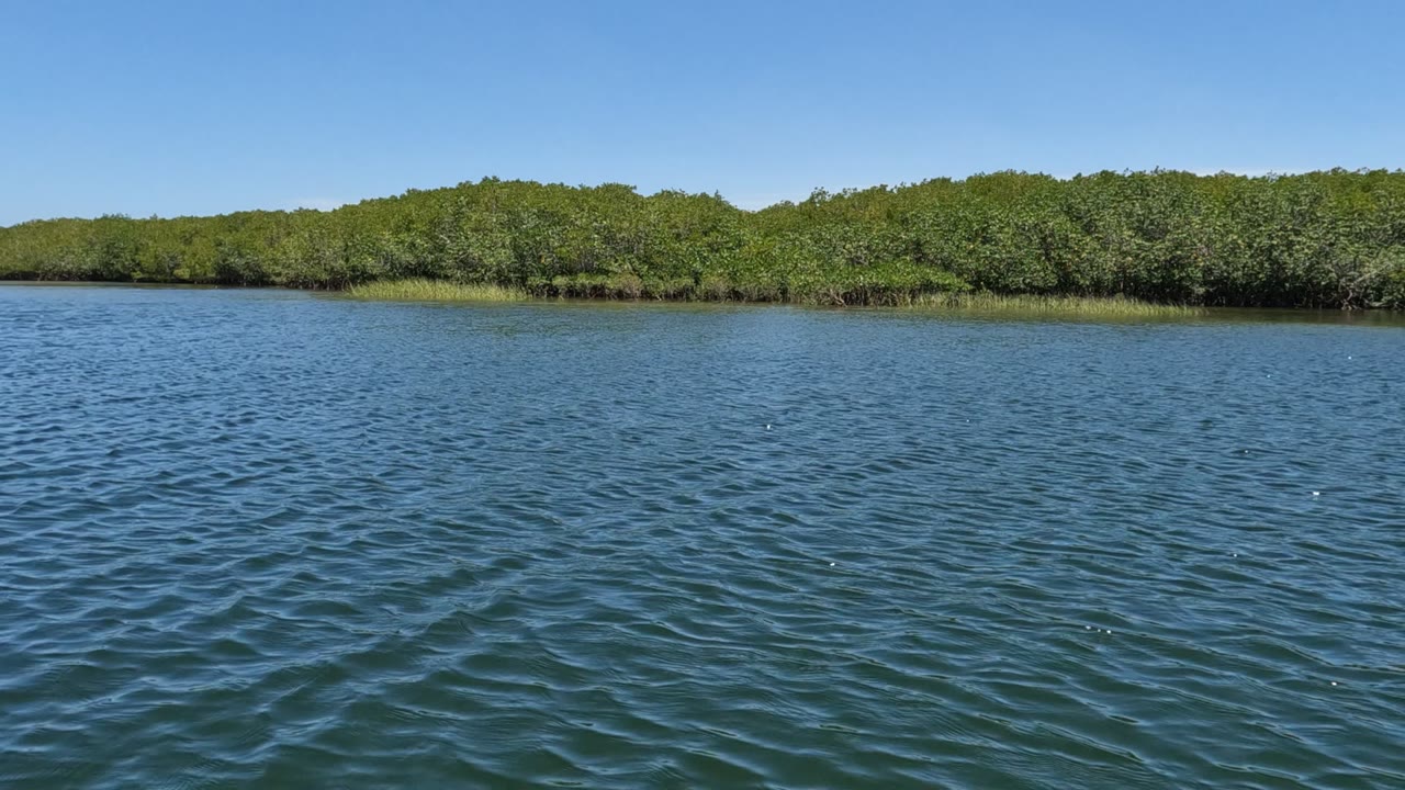 Baja California, Mexico waterway frame with the horizon held low, green foliage across the shore, and bright sky above, no visible people.