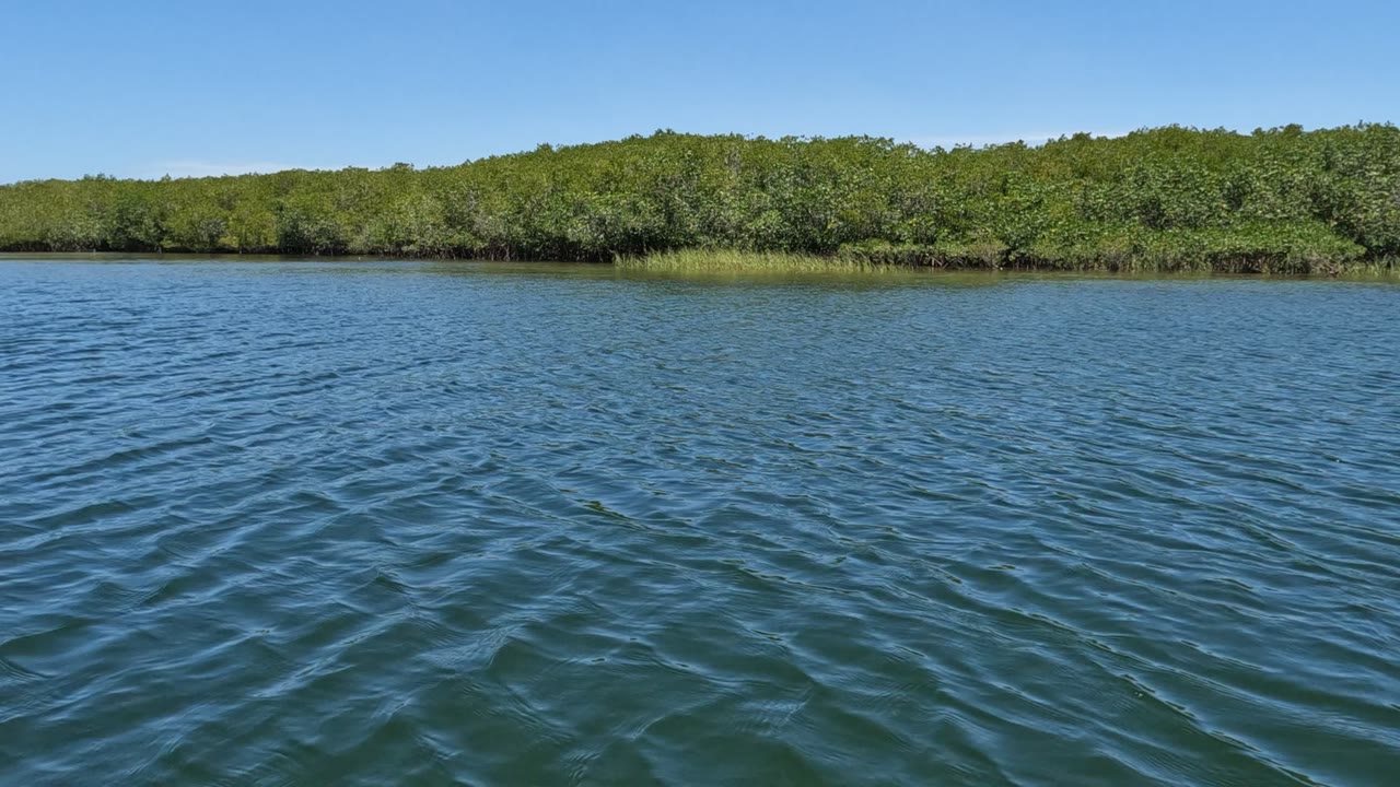 Opening frame of calm blue-green water with small ripples leading to a dense Baja California, Mexico shoreline under clear sky, with no visible people.