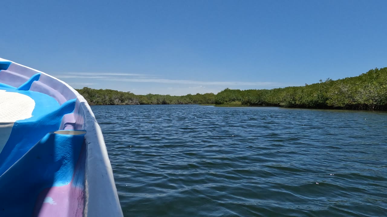 At the opening moment in Baja California, Mexico, a blue and white boat bow sits at the left edge beside rippled water and a green shoreline, with no visible people.