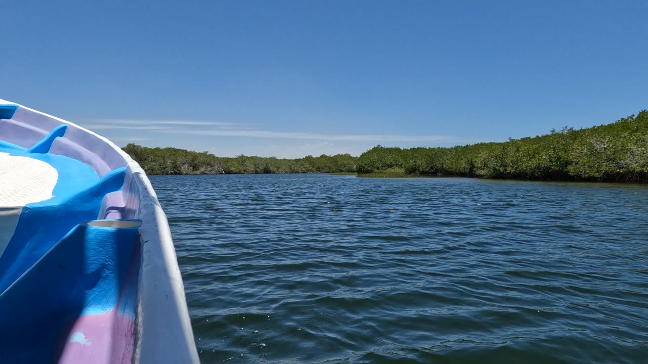 Boat bow beside rippled water and low green shoreline