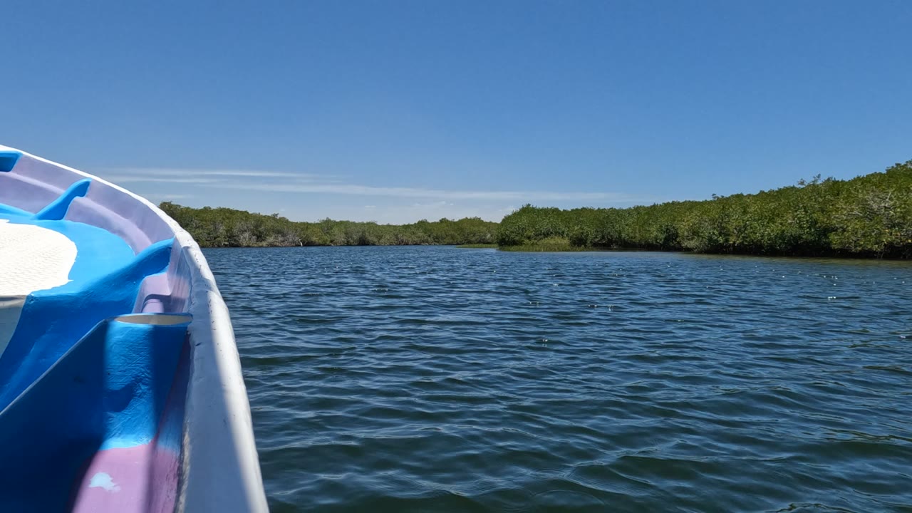 At 0:02, the blue and purple boat edge frames the left side as the water texture changes slightly and dense Baja California trees stretch across the horizon, with no visible people.