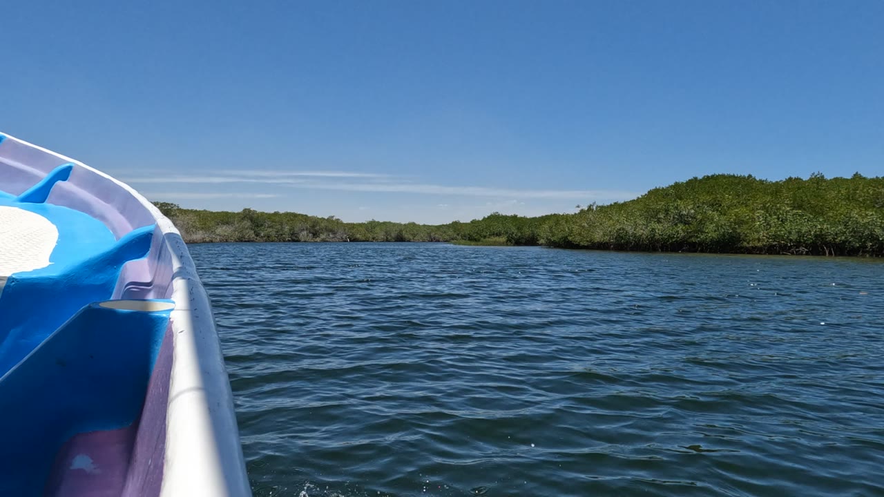 The opening frame shows the blue and purple boat bow at the left edge, rippled water across the center, green Baja California shoreline in the distance, and no visible people.