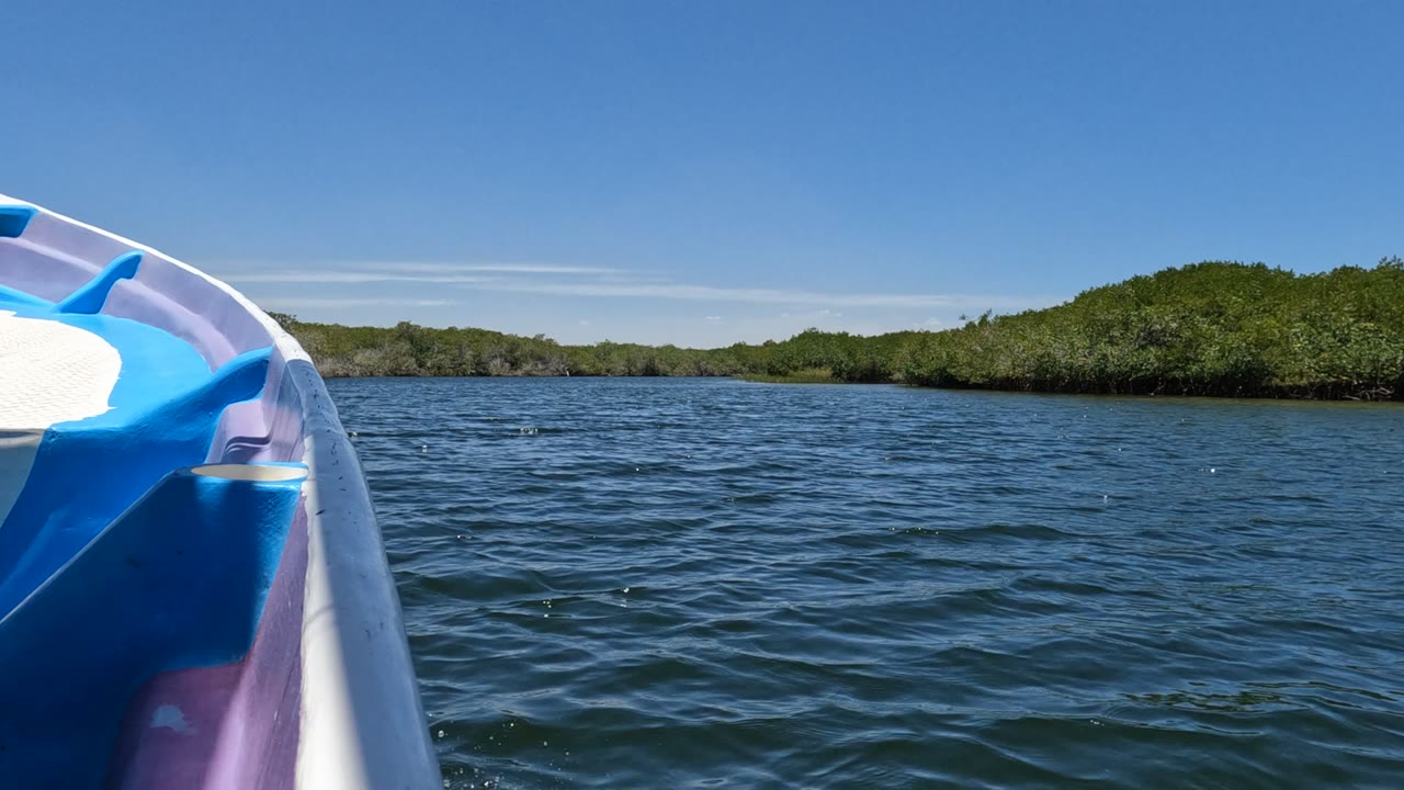Boat bow crossing calm blue water near trees