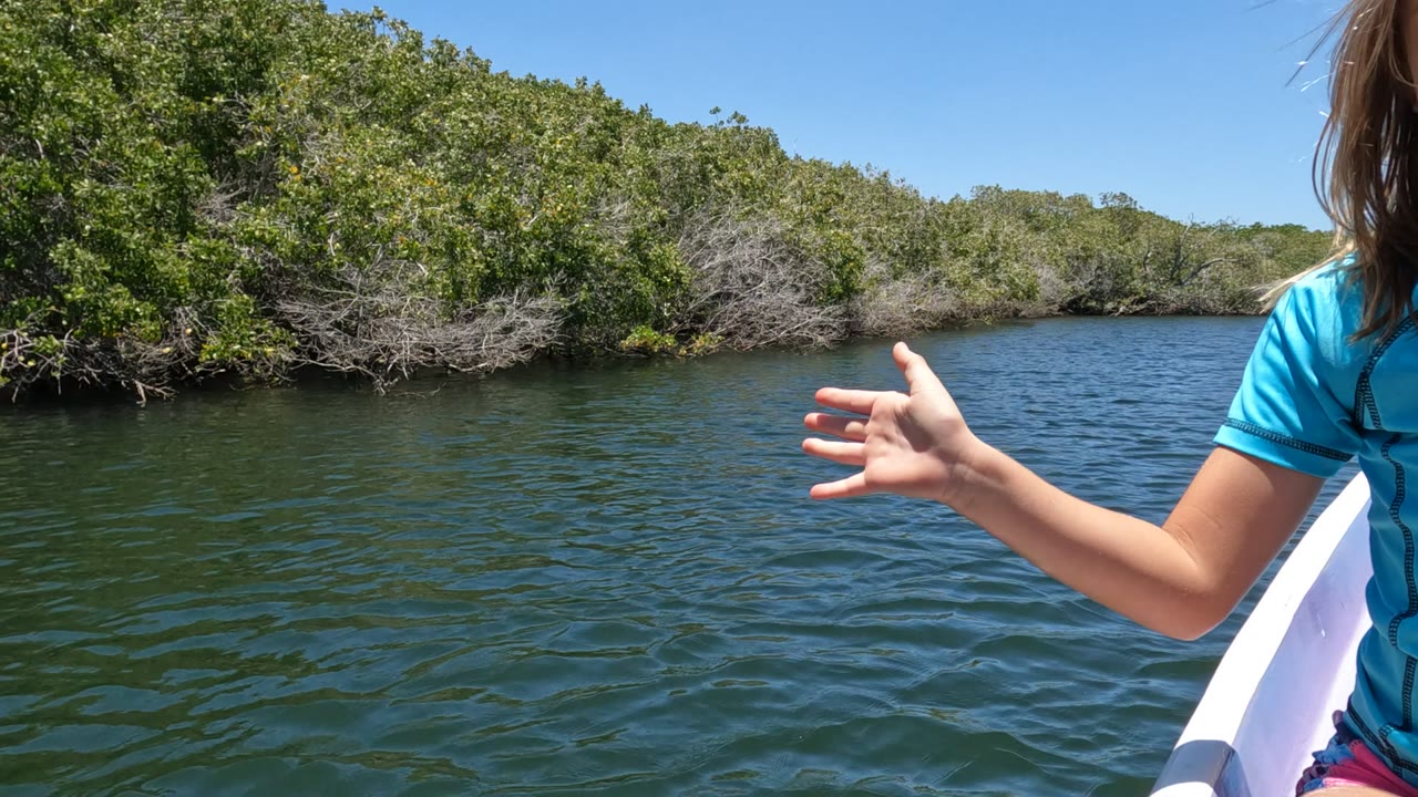 A child’s hand and arm extend from the right side of a white boat over rippled river water in Mulege, Mexico, with thick green foliage across the bank.