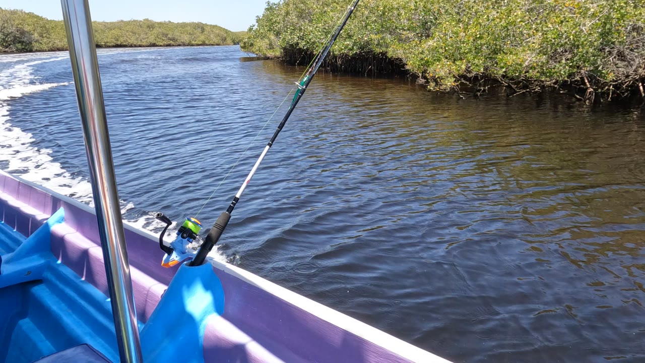 A mounted fishing rod and metal pole frame the left side of a boat view in Baja California, Mexico, with dark water, wake, dense green banks, and no visible people.