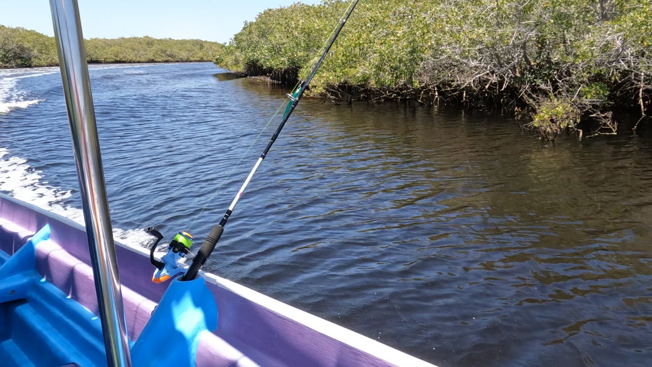 Boat wake beside mangrove-like greenery with fishing rod in foreground