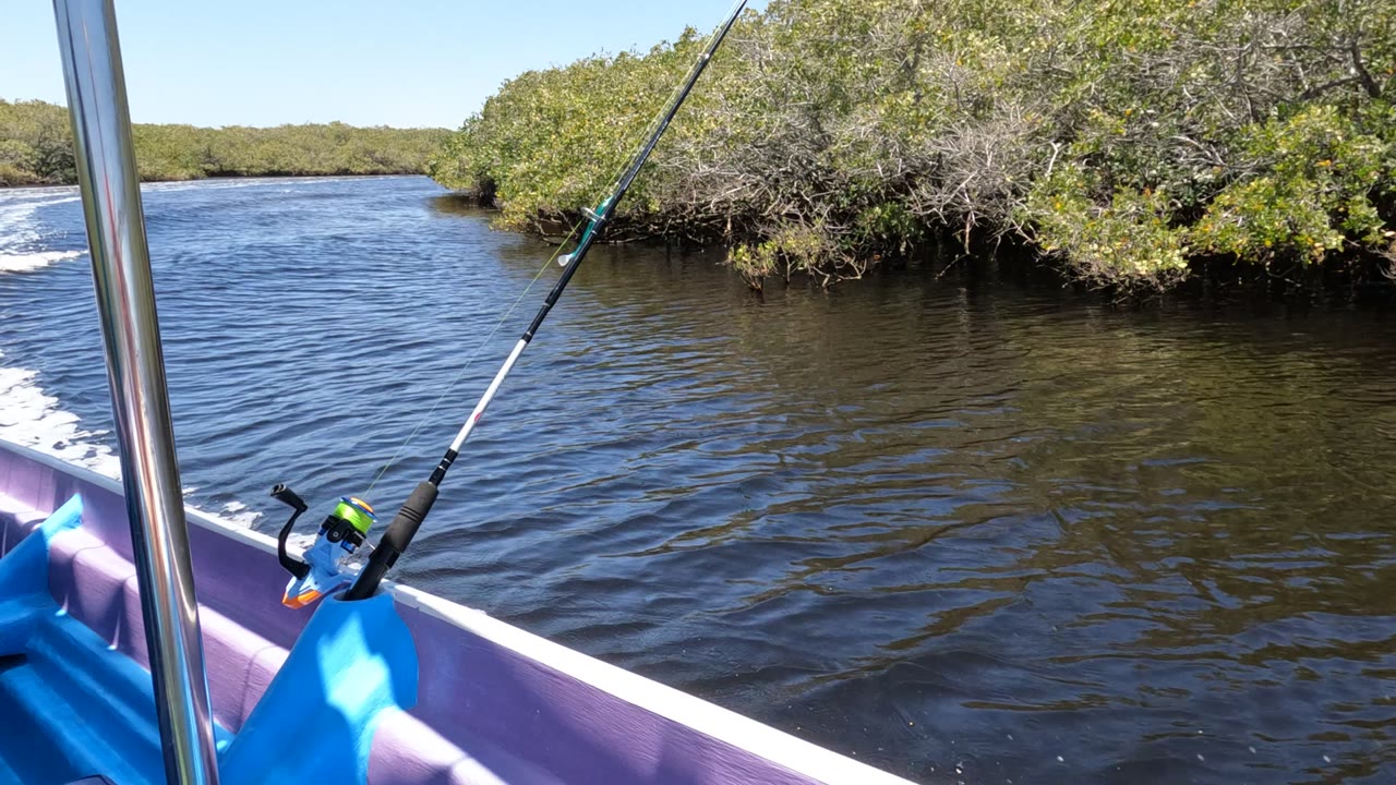 A fishing rod and reel remain fixed in the boat foreground in Baja California, Mexico, while dark rippled water fills the center and low green banks run across the background with no visible people.