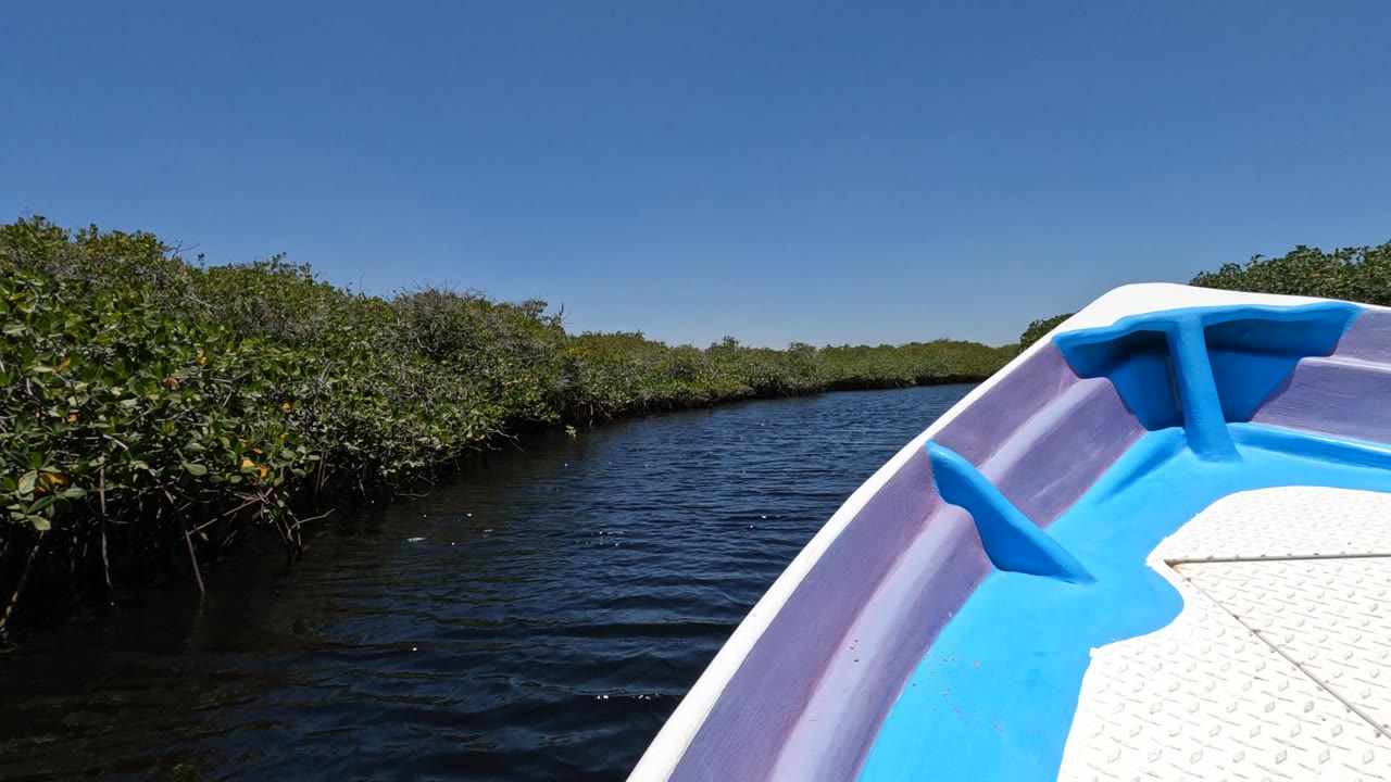Opening frame from Baja California, Mexico showing the blue and lavender boat bow at right, dark rippled water ahead, mangroves on both banks, and no visible people.