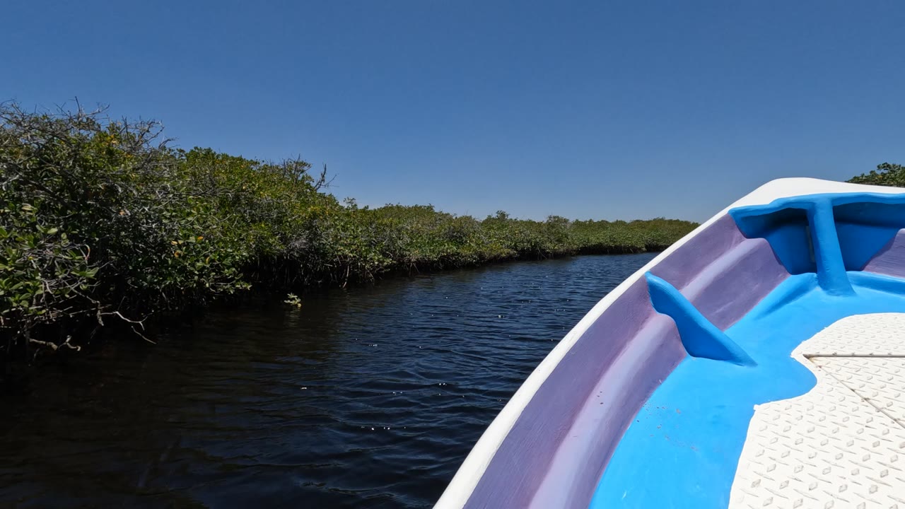 At 0:02, the right foreground boat bow cuts across the frame as the mangrove edge on the far side of the Baja California waterway stretches under clear sky, with no visible people.