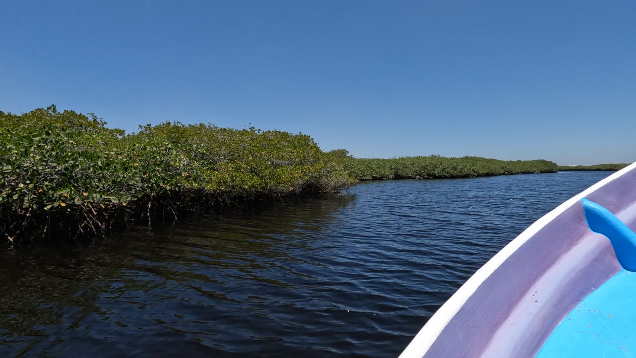 Boat bow edge beside rippled water and dense mangrove shoreline.