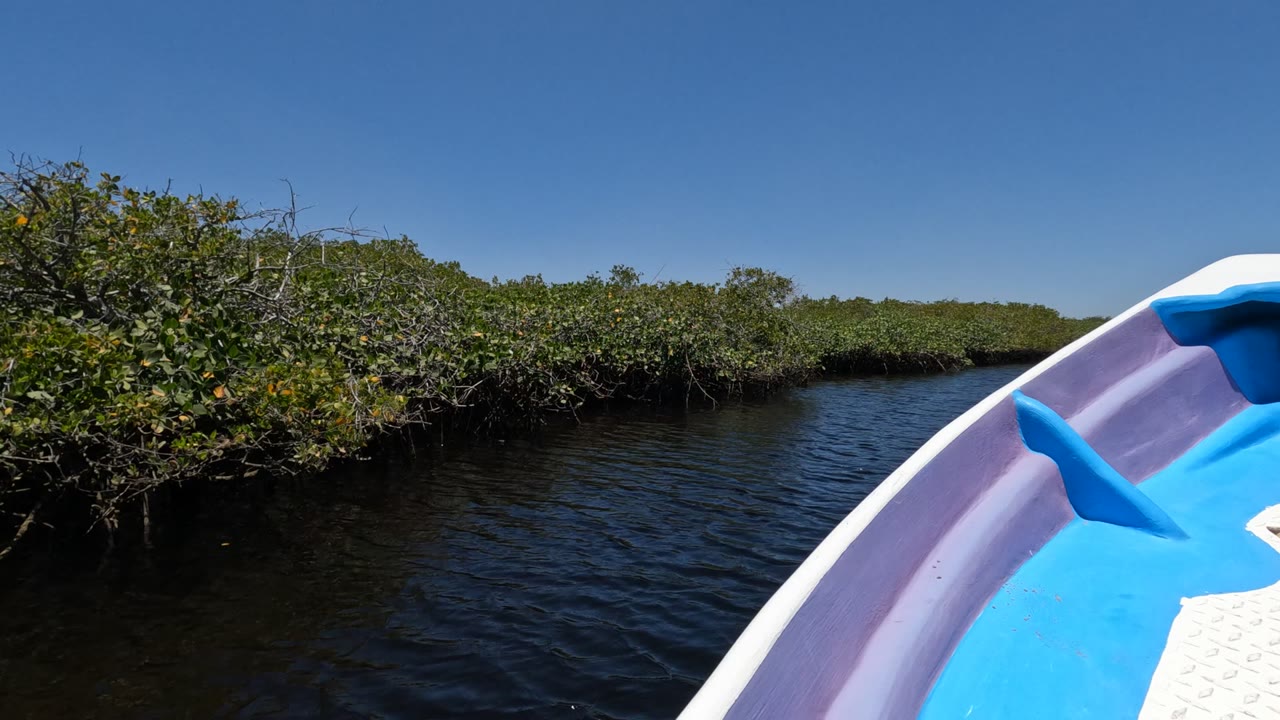 A boat edge fills the right foreground beside dark rippled water and dense mangroves in Baja California, Mexico, with no visible people.