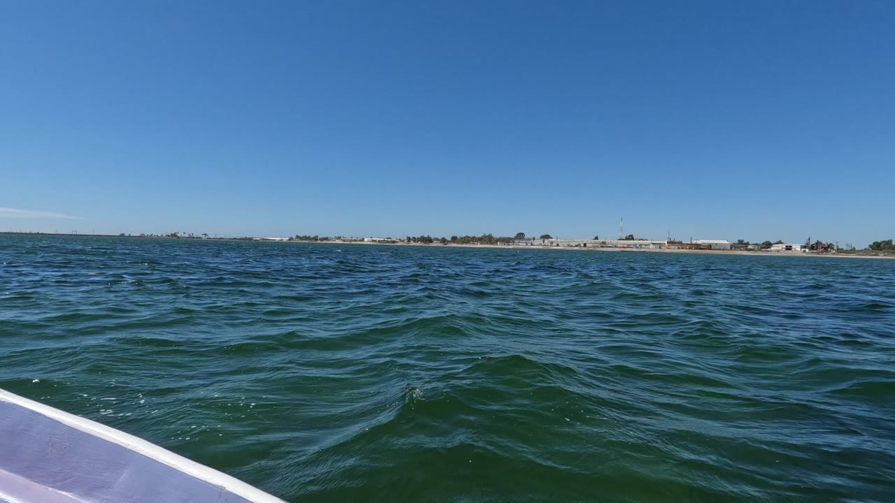 Boat-level view of blue-green ocean in Baja California, Mexico, with a pale boat edge at lower left, a distant low shoreline, clear sky, and no visible people.