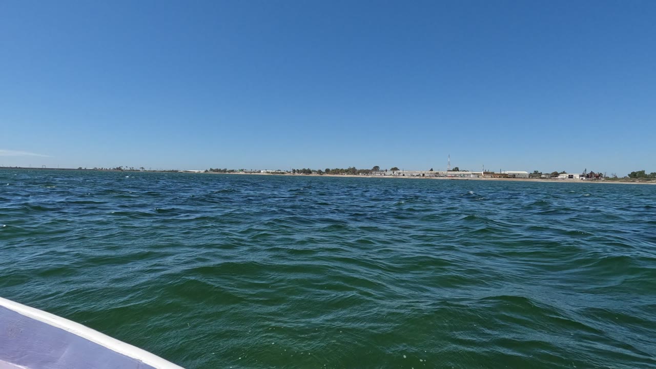 Rippling ocean with low coastline across the horizon.
