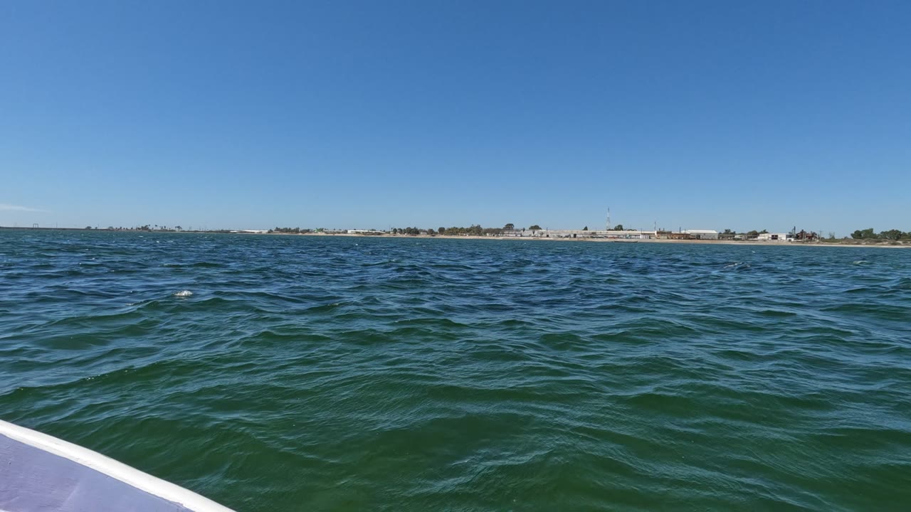 Small wave peaks cross the blue-green ocean in Baja California, Mexico, while a thin strip of shoreline and clear blue sky remain steady in the distance with no visible people.