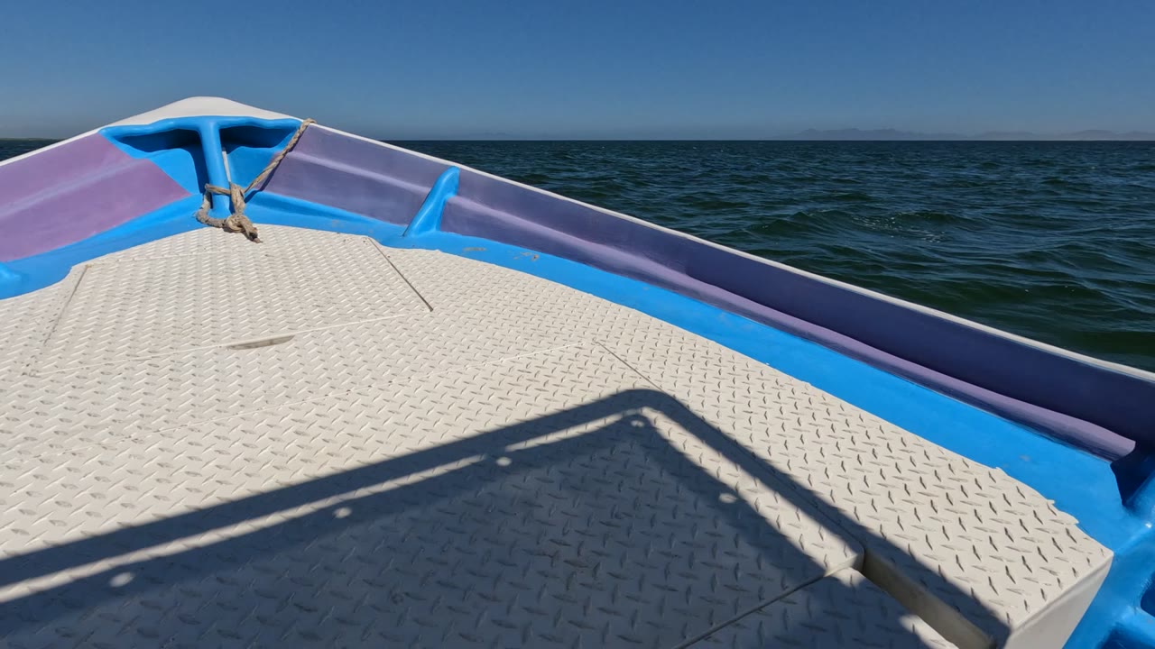 White diamond-plate boat bow with blue and purple trim points toward the ocean in Baja California, Mexico, with hard deck shadow and no visible people.